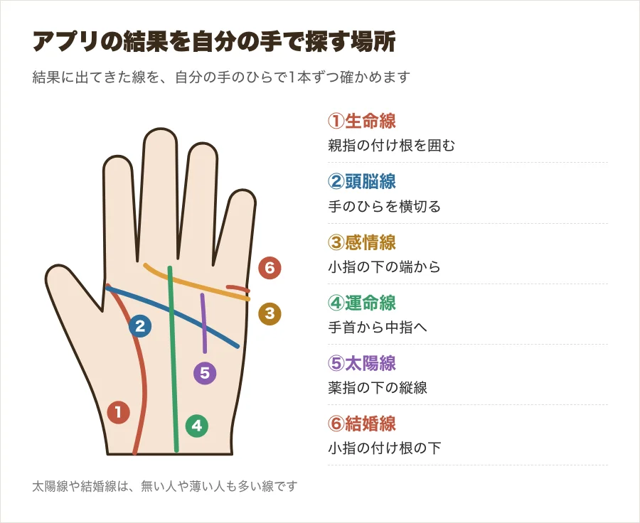 アプリの結果を確かめる時に見る生命線・頭脳線・感情線・運命線と、結婚線・太陽線の位置を示した図