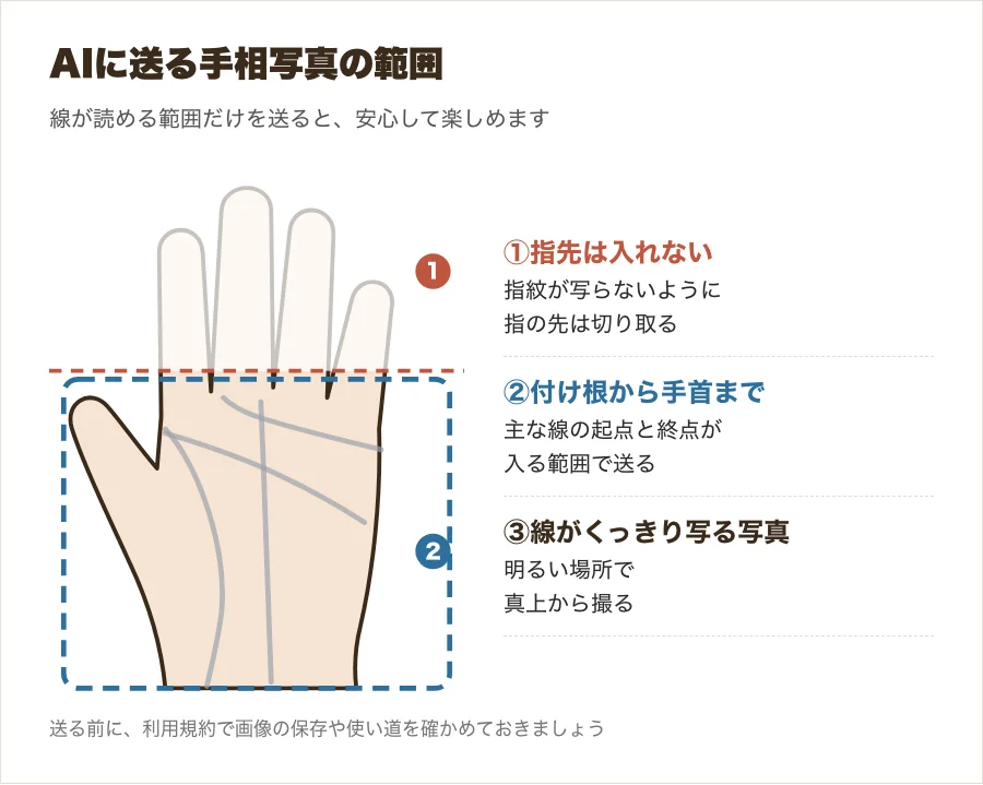 AIに送る手相写真の撮り方を、指先を入れない範囲と線の位置で示した図
