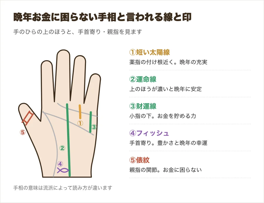晩年お金に困らない手相と言われる太陽線・運命線・財運線とフィッシュ・俵紋の位置を示した手のひらのイラスト