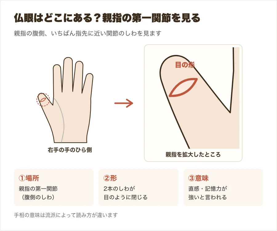 手相の仏眼の位置を示した図解。親指の第一関節の腹側にある、目の形のしわを拡大している
