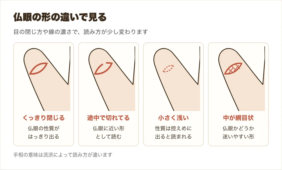 仏眼の形の違い、くっきり閉じる・途中で切れてる・小さく浅い・中が網目状の4つを並べた図解