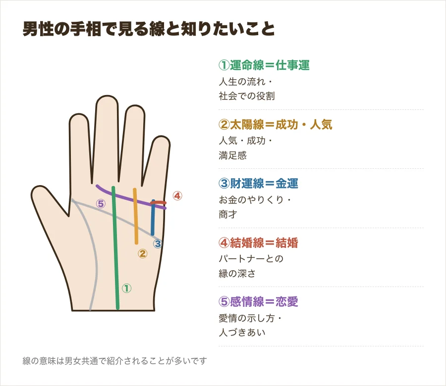 男性の手相の見方。手のひらに運命線・太陽線・財運線・結婚線・感情線を番号つきで示し、仕事・お金・恋愛のどれを見る線かを並べた図解