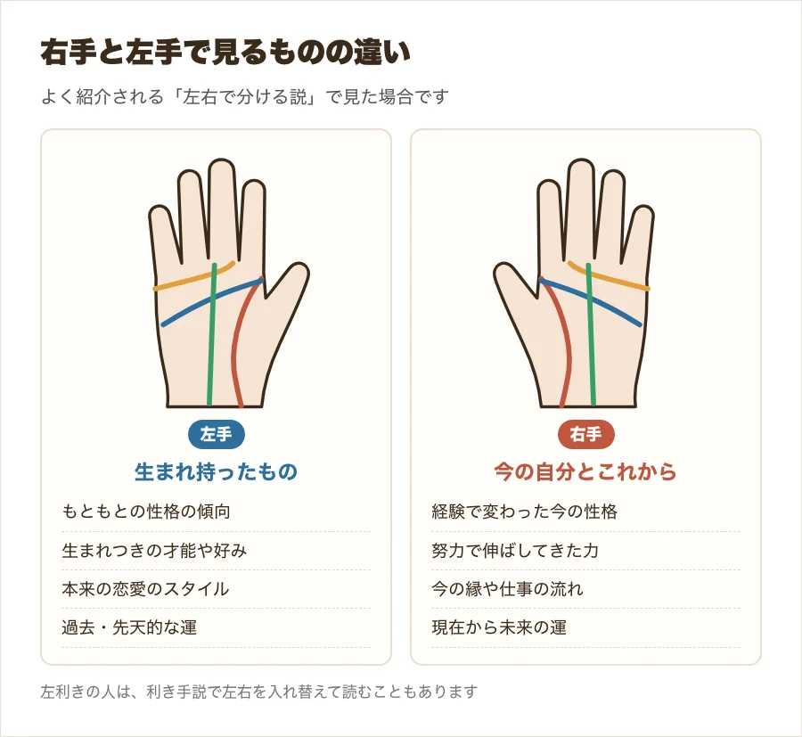 右手と左手の手相で見るものの違いを並べた図