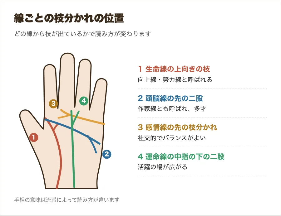 生命線・頭脳線・感情線・運命線の枝分かれの位置を示した図