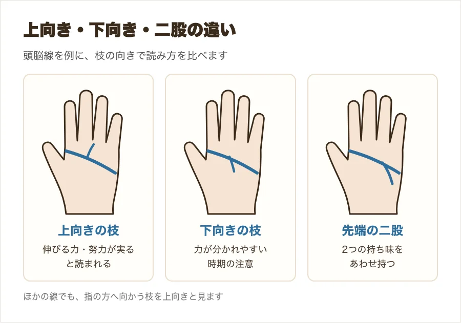 上向きの枝・下向きの枝・二股の違いを比べた図