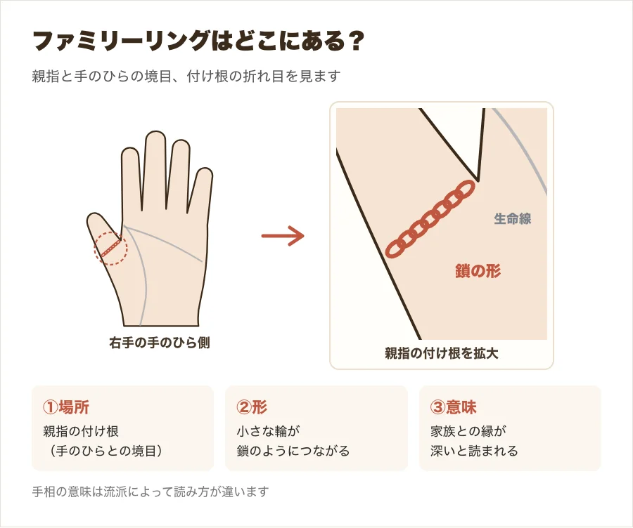 手相のファミリーリングの位置を示した図解。親指の付け根、親指と手のひらの境目に鎖のような線がある