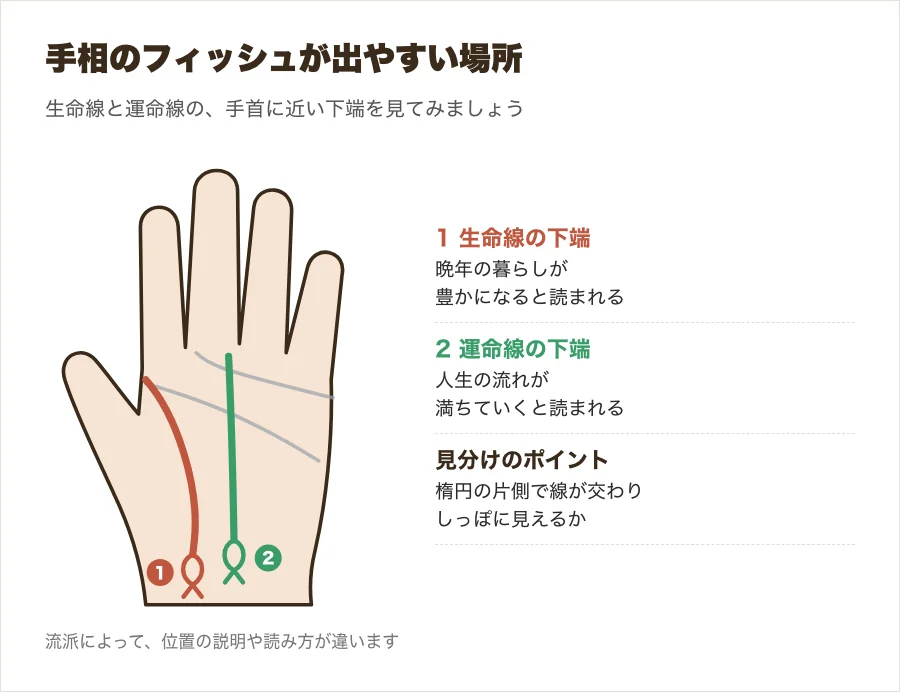 手相のフィッシュ(魚紋)が出やすい生命線の下端と運命線の下端の位置を示した図解