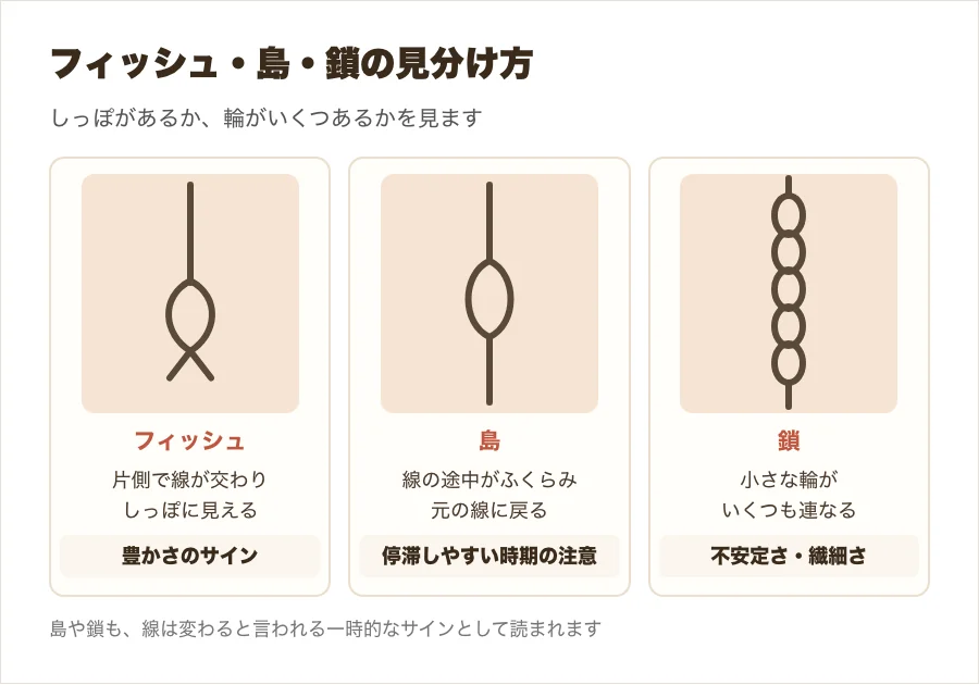 フィッシュ・島・鎖の形を並べて、しっぽの有無と輪の数で見分ける方法を比べた図解