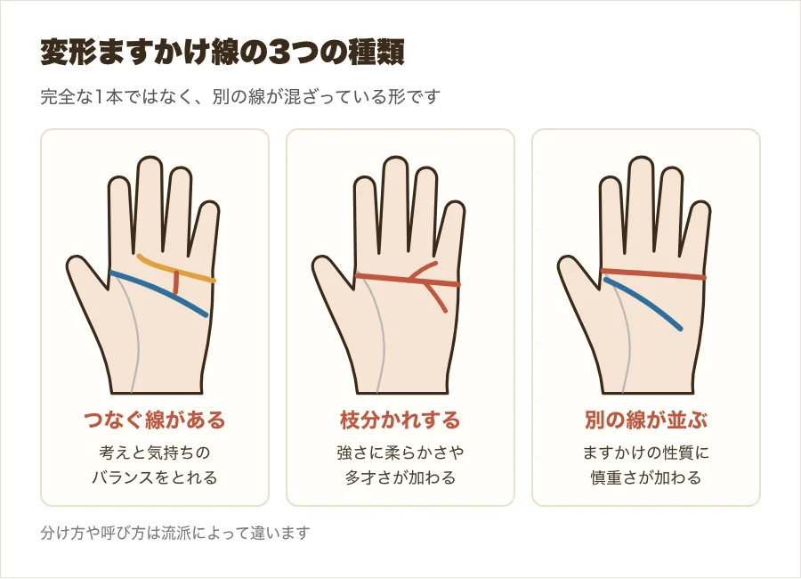 変形ますかけ線の3つの種類、つなぐ線がある形・枝分かれする形・横線と頭脳線が並ぶ形を並べた図解