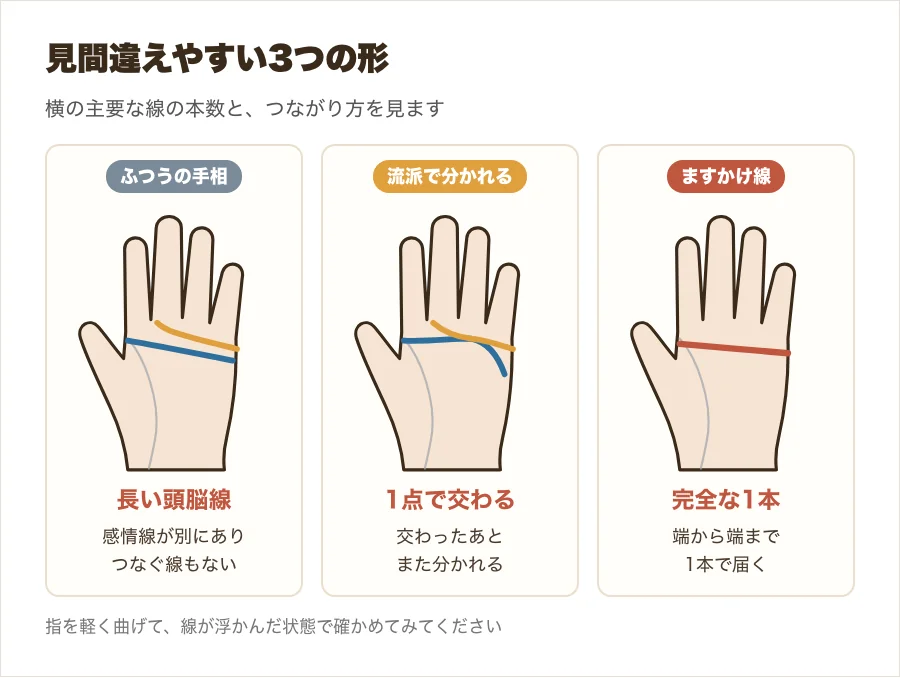 長い頭脳線・1点で交わる線・完全なますかけ線という、見間違えやすい3つの形を比べた図解