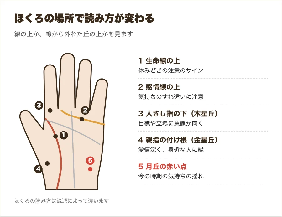 手のひらの線の上と丘の上のほくろの位置を示した図