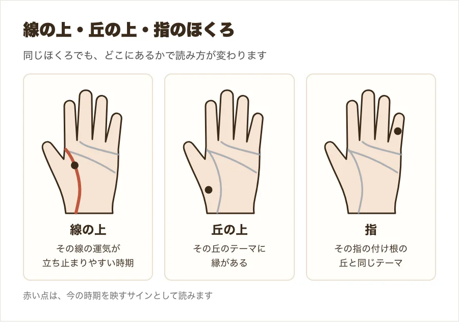 線の上・丘の上・指のほくろの読み方の違いを比べた図