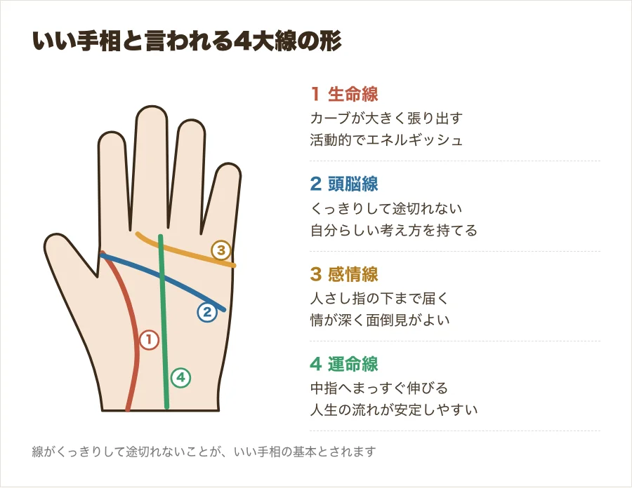 生命線・頭脳線・感情線・運命線のいい形を手のひらに示した図解
