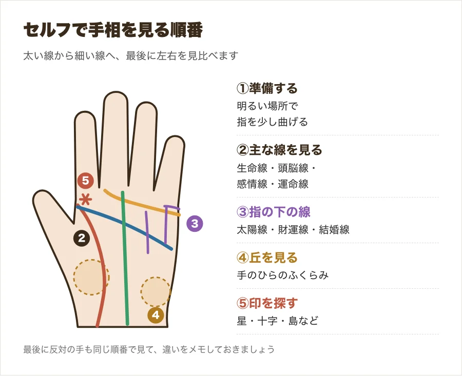 セルフで手相を見る順番を、主な線・指の下の線・丘・印に番号をつけて示した図