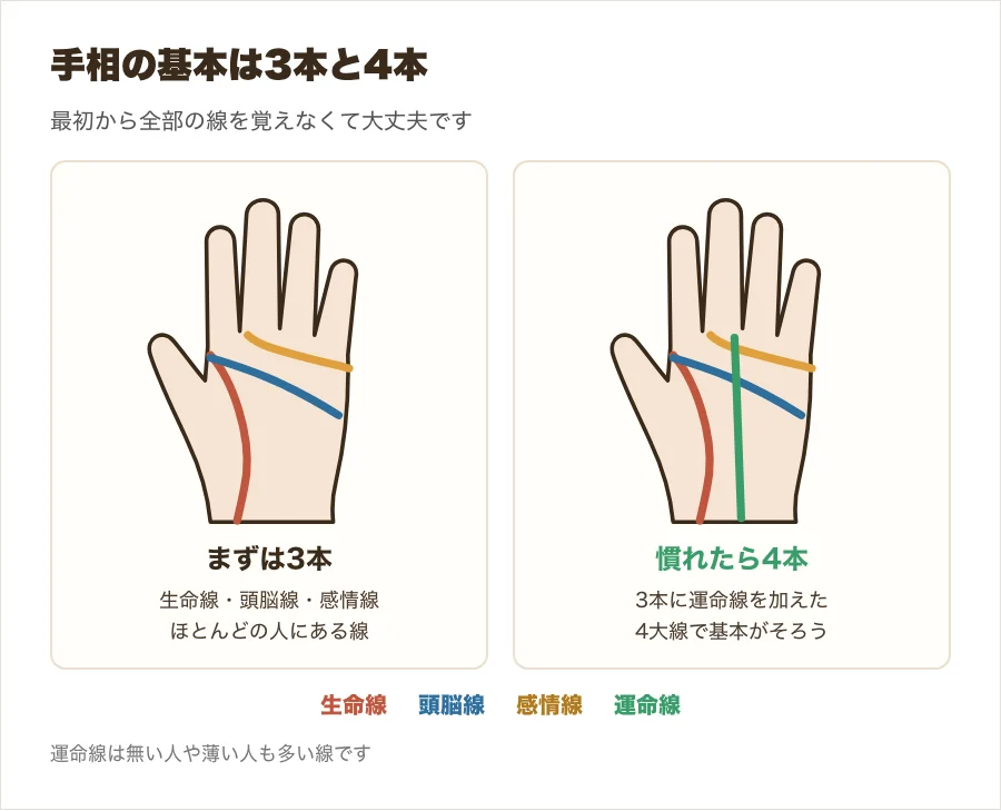 手相の基本の3本の線と、運命線を加えた4本の線を並べた図