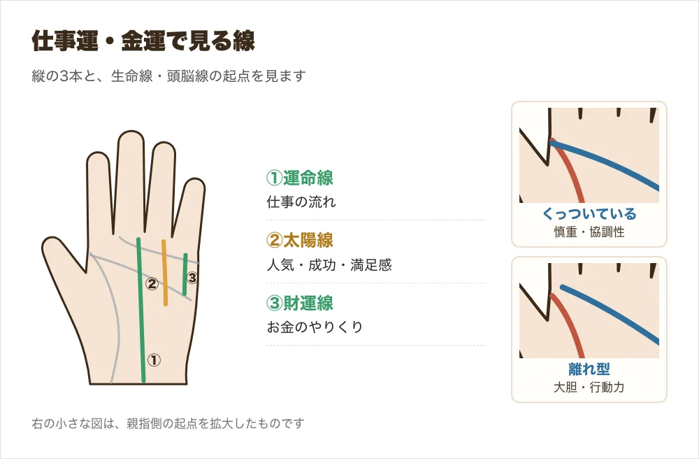 女性の仕事運と金運で見る線と離れ型の手相を示した図