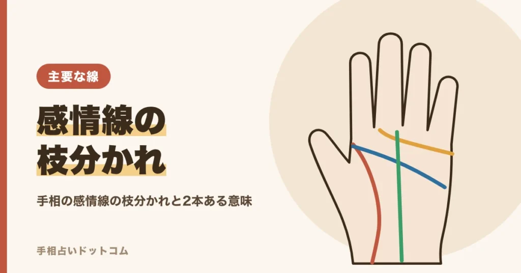 手相の感情線の枝分かれ・2本ある意味