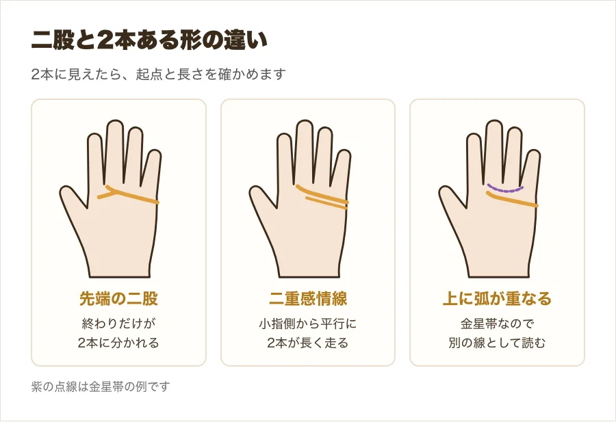 感情線の先端の二股と二重感情線の違いを比べた図