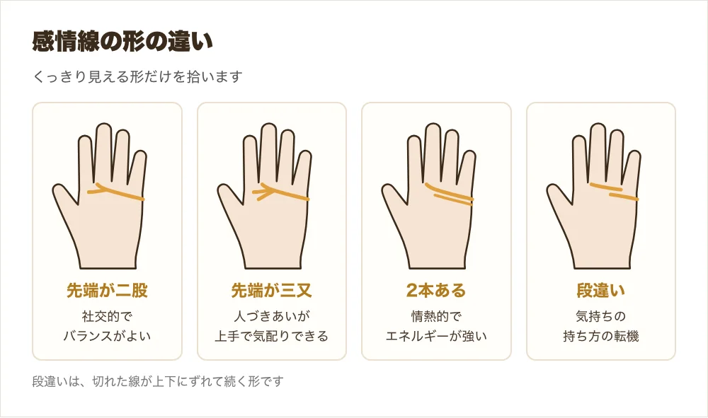 感情線の二股・三又・2本・切れ目の形を描いた図