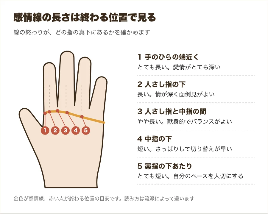 感情線が終わる位置ごとの長さの目安を示した図