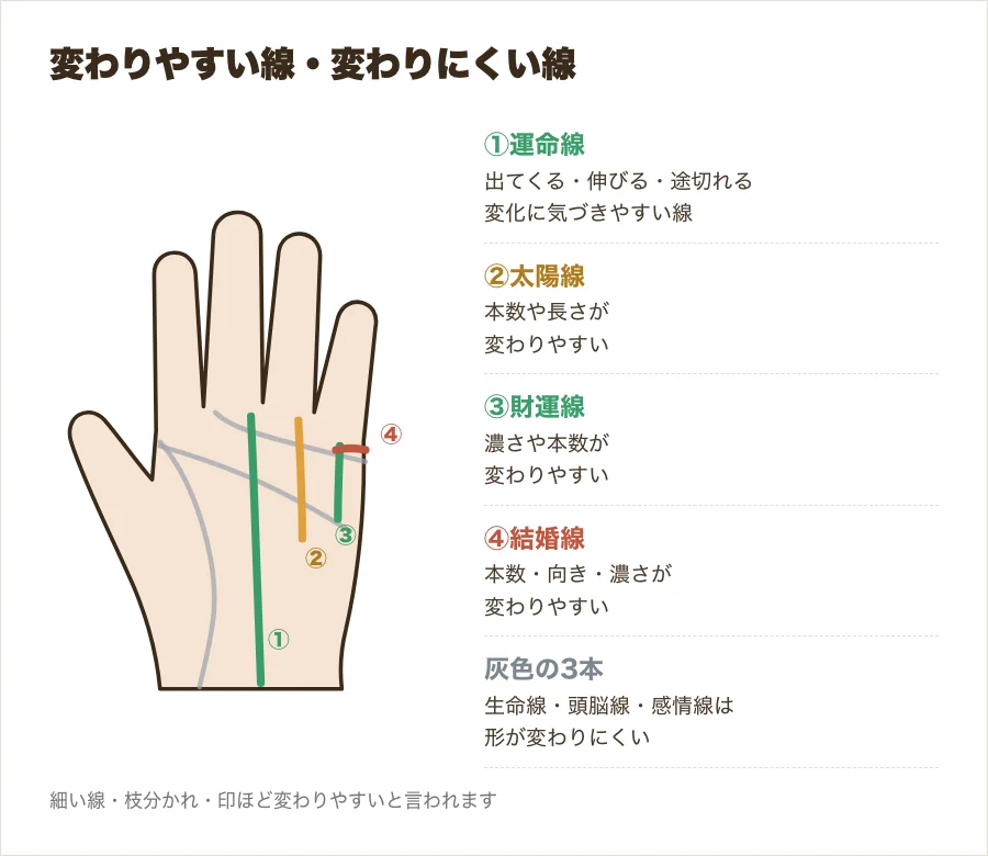 手のひらの図。変わりにくい生命線・頭脳線・感情線を灰色で、変わりやすい運命線・太陽線・財運線・結婚線を色付きで示した図解