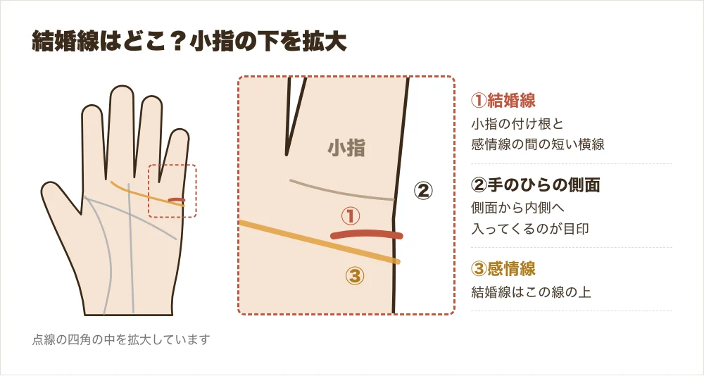 手のひらの結婚線の位置図。小指の付け根と感情線の間を拡大し、結婚線を朱色で示した図解