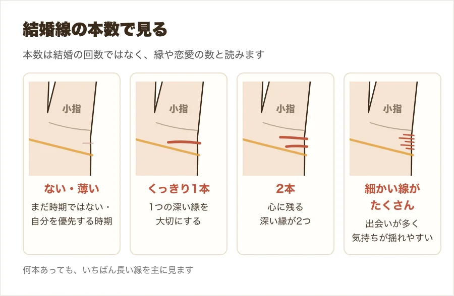 結婚線の本数の違いを、ない・1本・2本・細かい線がたくさんの4つの拡大図で比べた図解