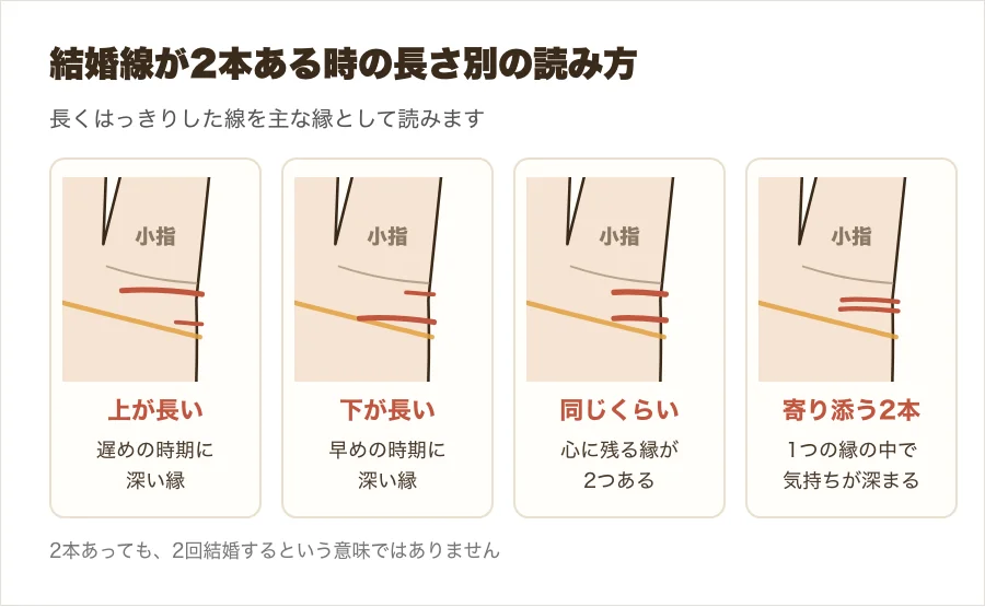 結婚線が2本ある時の形の違いを、上が長い・下が長い・同じ長さ・2本が寄り添うの4つの拡大図で比べた図解