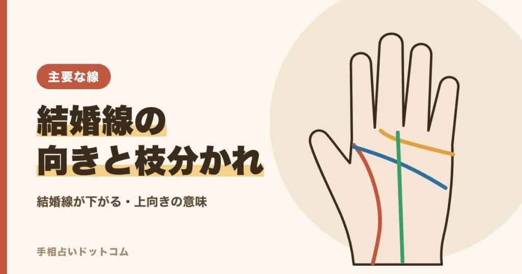 手相の結婚線が下がる・上向き・枝分かれの意味