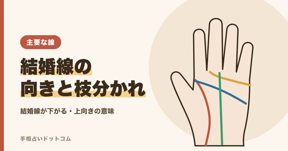 手相の結婚線が下がる・上向き・枝分かれの意味