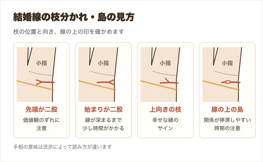 結婚線の枝分かれの違いを、先端が二股・始まりが二股・上向きの枝・線の上の島の4つの拡大図で比べた図解