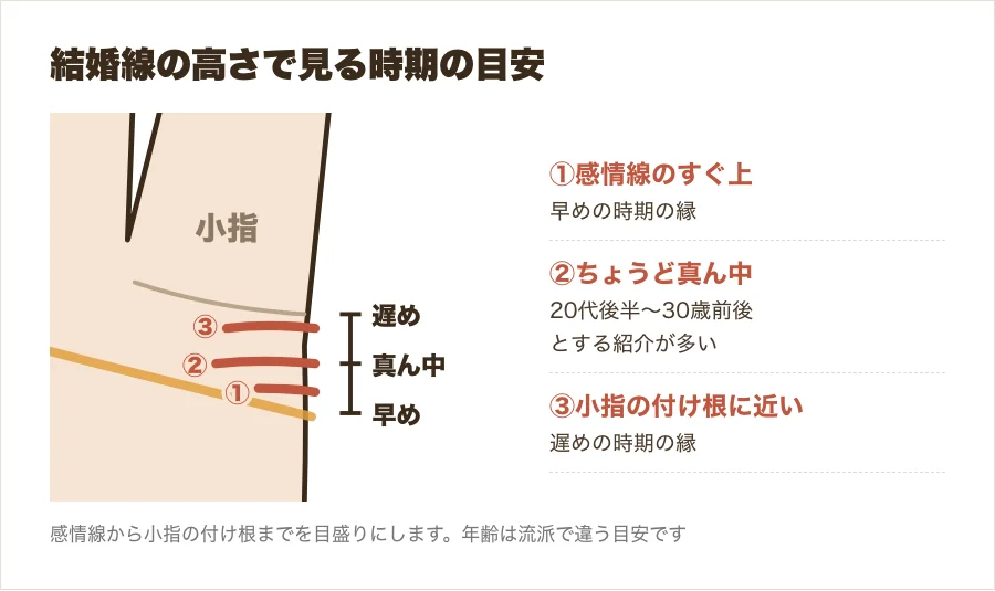 結婚線の高さと時期の目安を示した拡大図。感情線に近いほど早い時期、小指に近いほど遅い時期、真ん中が20代後半〜30歳前後の目安