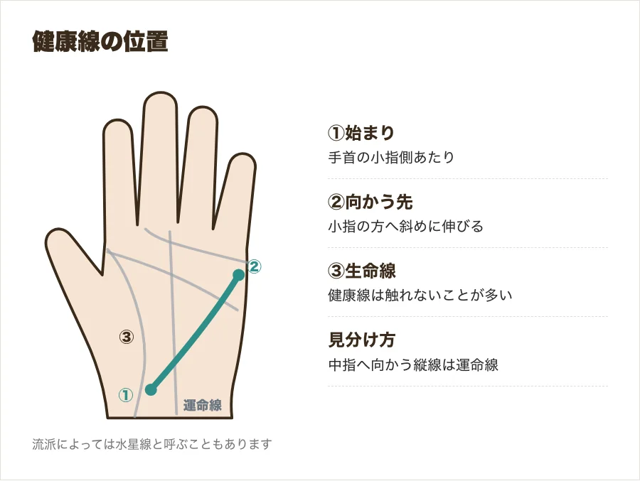 手首の小指側から小指の方へ斜めに伸びる健康線の位置を、生命線・運命線と一緒に示した図解