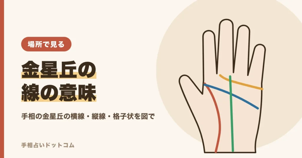 手相の金星丘の線の意味
