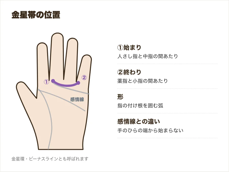 感情線の上に、人さし指と中指の間から薬指と小指の間へ弧を描く金星帯の位置を示した図解