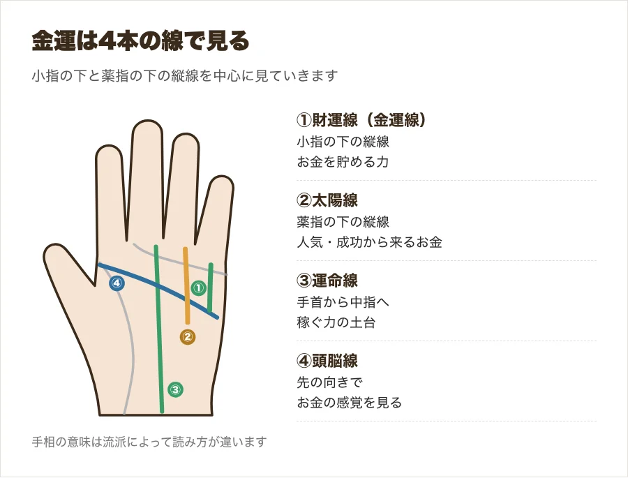 金運を見る手相の位置を示した図解。小指の下の財運線、薬指の下の太陽線、手首から中指へ伸びる運命線、頭脳線の4本