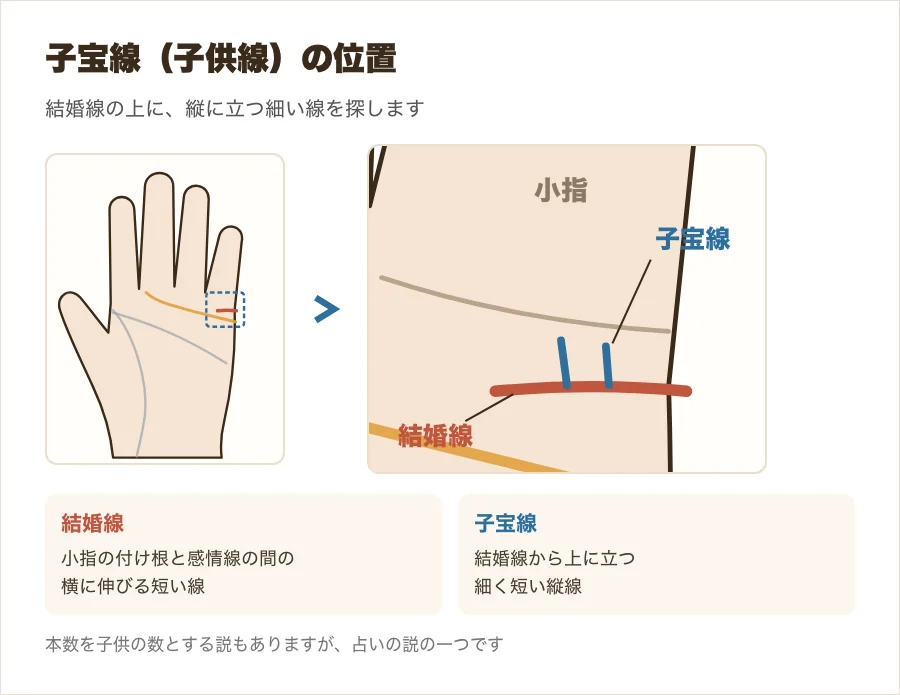 子宝線（子供線）の位置を、結婚線の上に立つ細い縦線として拡大して示した図解