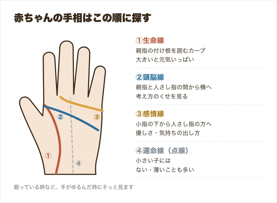 赤ちゃんの手のひらの図。生命線・頭脳線・感情線の3本を色付きで示し、見つける順番を番号で並べた図解