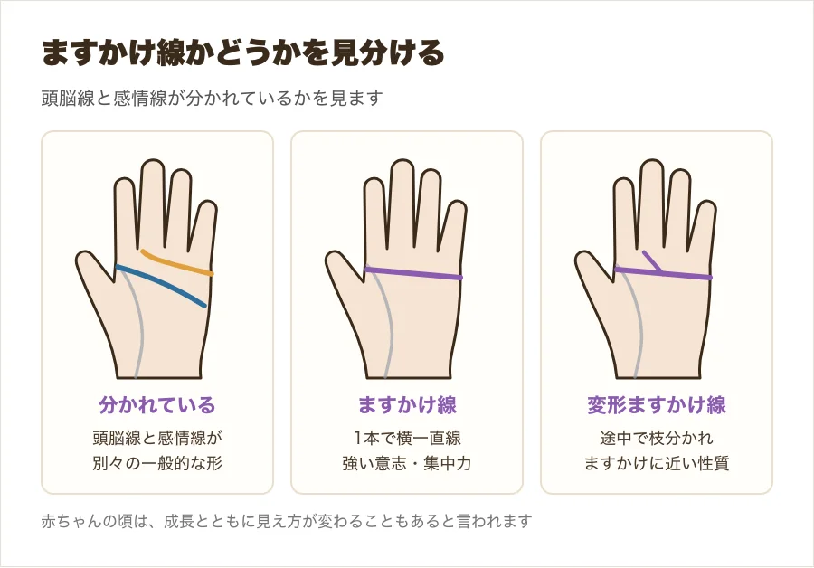 赤ちゃんの手相の比べ図。頭脳線と感情線が分かれている手、ますかけ線の手、変形ますかけ線の手の3つを並べた図解