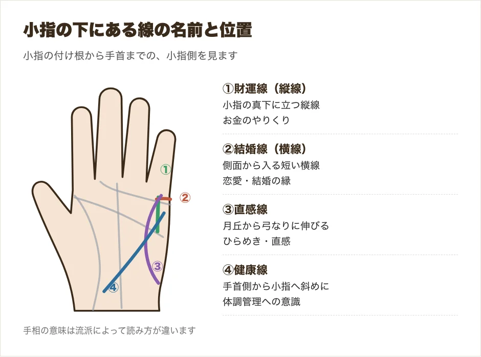 手相で小指の下にある線の位置を示した図解。財運線・結婚線・直感線・健康線