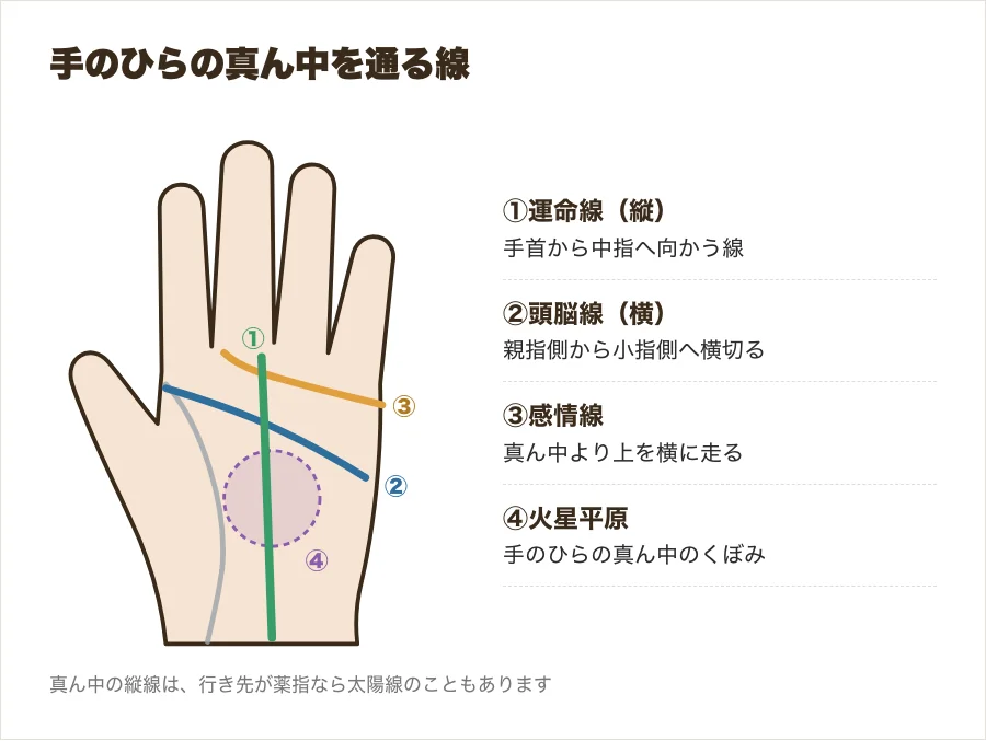 手のひらの真ん中(火星平原)と、そこを通る運命線・頭脳線・感情線の位置を示した図