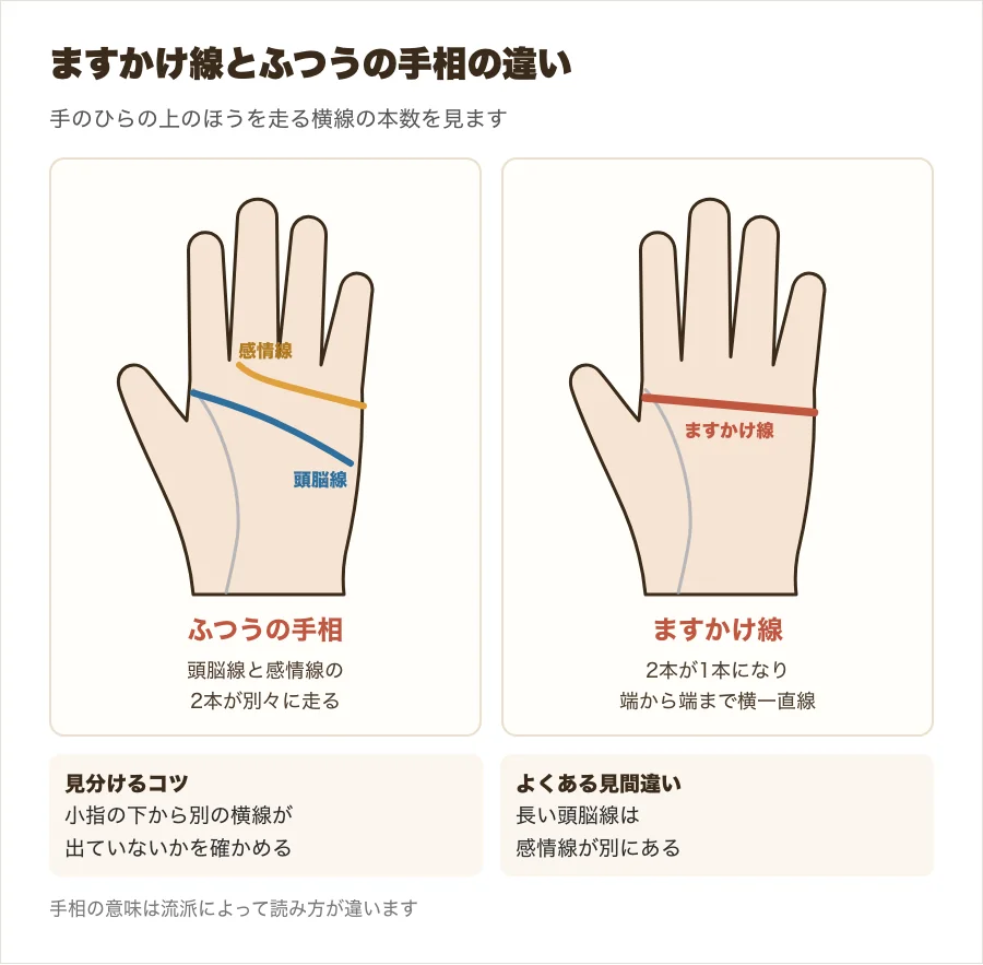 ふつうの手相の頭脳線・感情線と、1本につながったますかけ線を並べて比べた図解