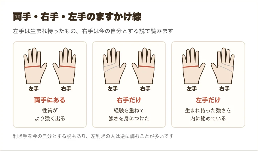 両手・右手だけ・左手だけにますかけ線がある場合の読み方を、小さな手のひらで比べた図解