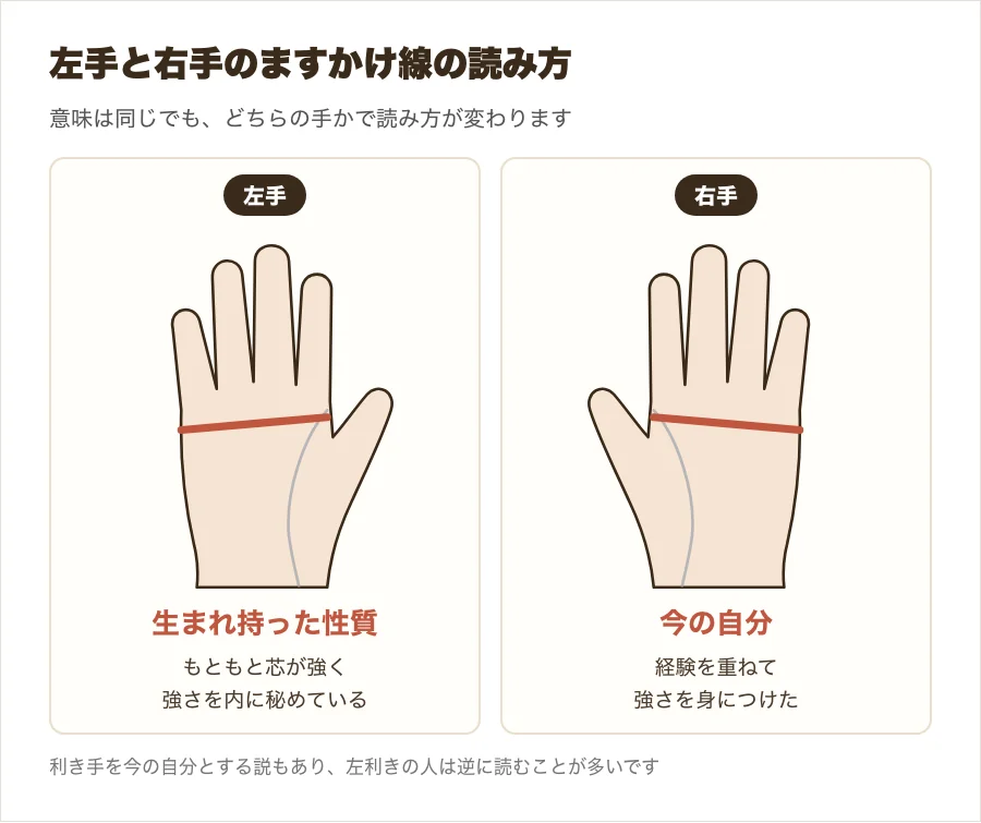 左手は生まれ持った性質、右手は今の自分を表すとする説で、ますかけ線の読み方を比べた図解