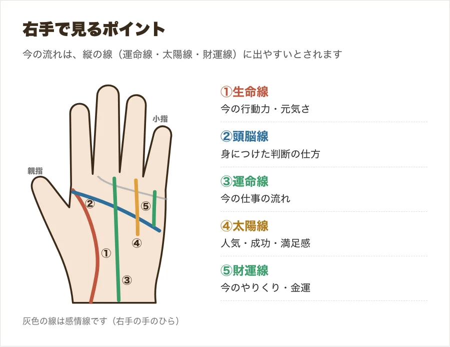 右手の手のひらで見るポイントの線を示した図