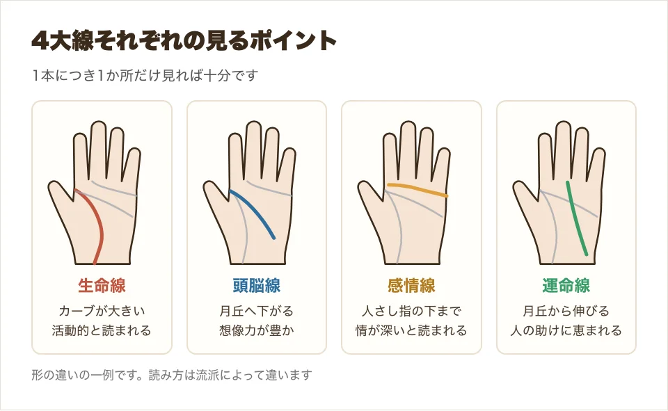 4大線それぞれの見るポイントを、形の違いで描き分けた比較図