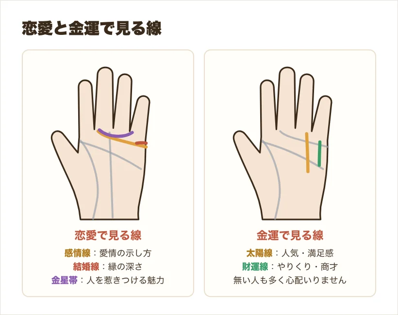 恋愛で見る線と金運で見る線を、手のひらで色分けした図
