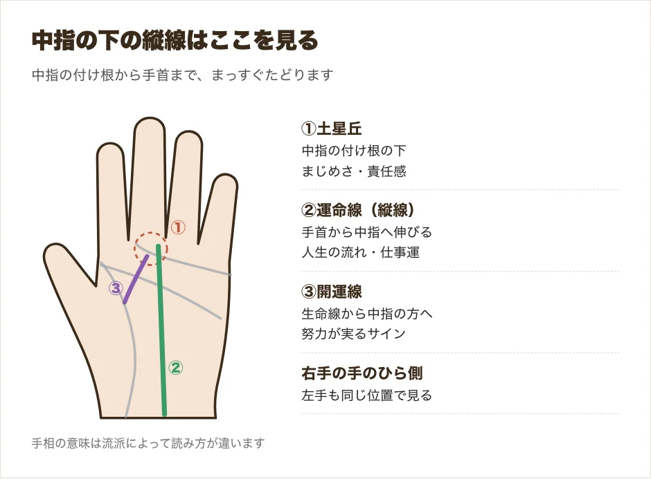 手相で中指の下の縦線の位置を示した図解。手首から中指へ向かう運命線と、土星丘、中指に伸びる開運線