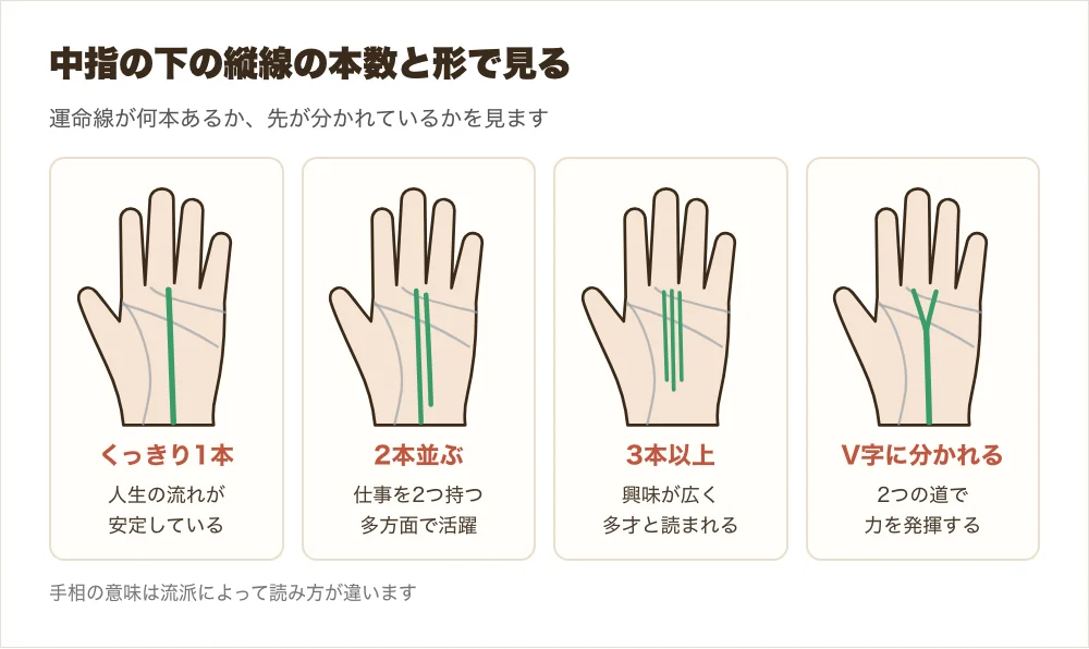 中指の下の縦線の形の違い、くっきり1本・2本並ぶ・3本以上・V字に分かれるの4つを並べた図解