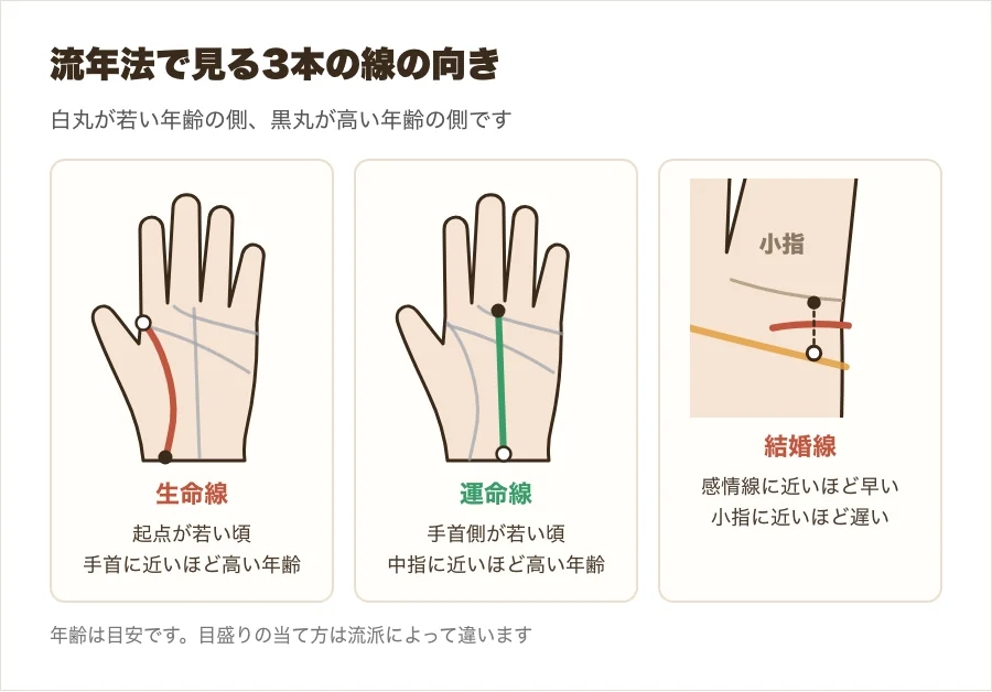 流年法で見る3本の線の図。生命線・運命線・結婚線それぞれについて、若い年齢の側と高い年齢の側を印で示した図解